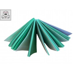 Ticket Book-Square Counter Book-Green